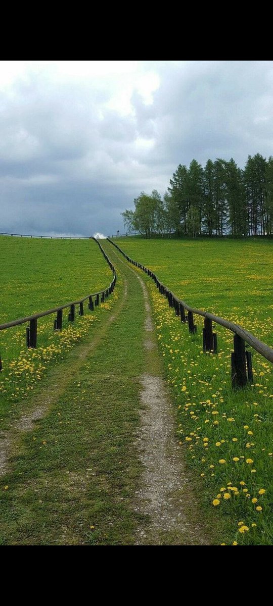 محتاجه لمكان نفس ذا الجو بكل تفاصيله😍