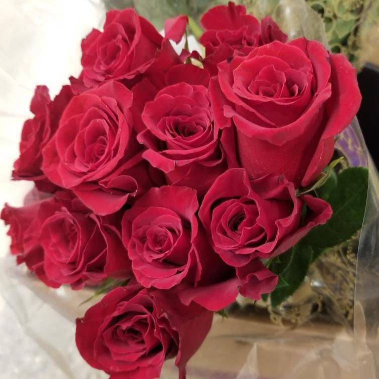 Jennifer Rose (@0fficial0808) on Twitter photo 