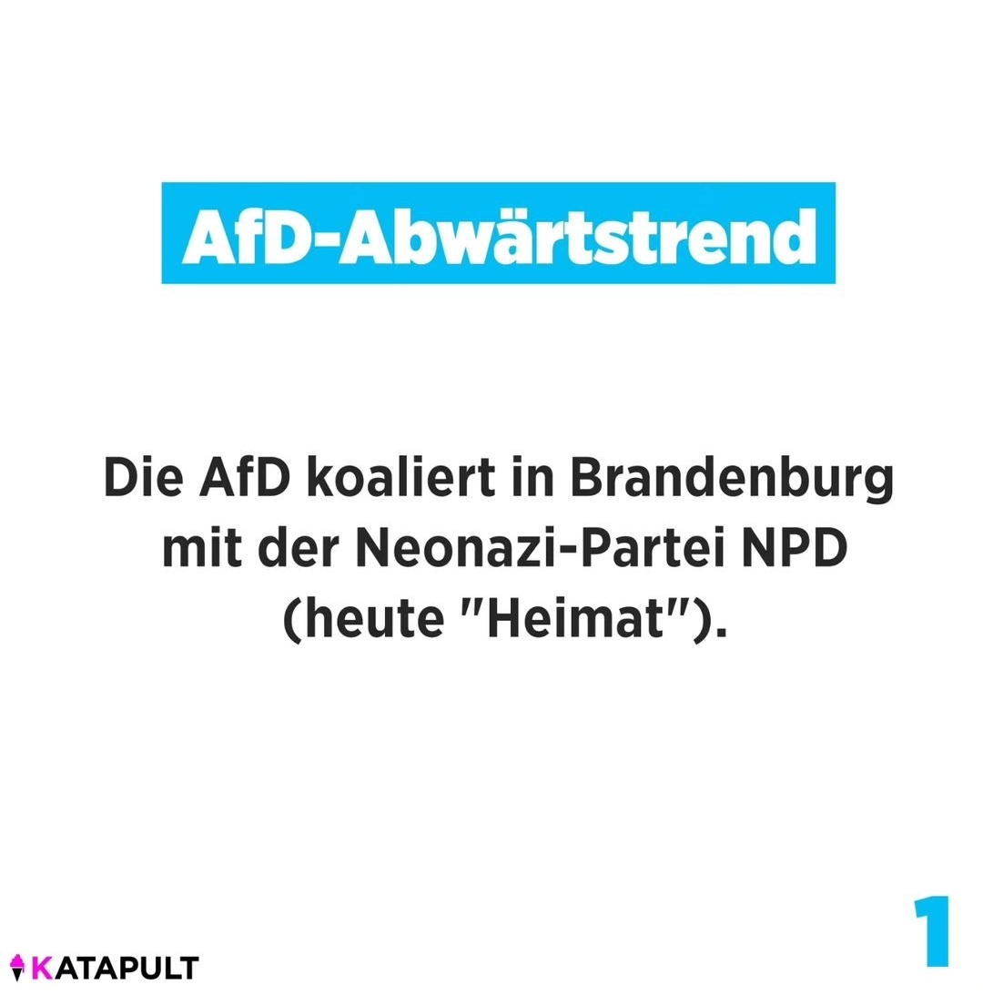 besserossi's tweet photo. #DummfragenAmAbend des 10.08.2024:

Nö, warum? 🤷🏽‍♀️: https://t.co/yiPlLh5MTd

AAAH! 🤷🏽‍♀️: https://t.co/D2Z0UW1hKD

#woke 💚: https://t.co/94LKNPQv5f

Nö, bin Mensch. 🤷🏽‍♀️: https://t.co/Fcr5Ya5JP6

#Kamala2024 💪🏽: https://t.co/U3D0KDsDUP

Klar! 🥳: https://t.co/W2pBNF1b5F

#fckAfD 🖕🏽 https://t.co/PXJdznqFZ2