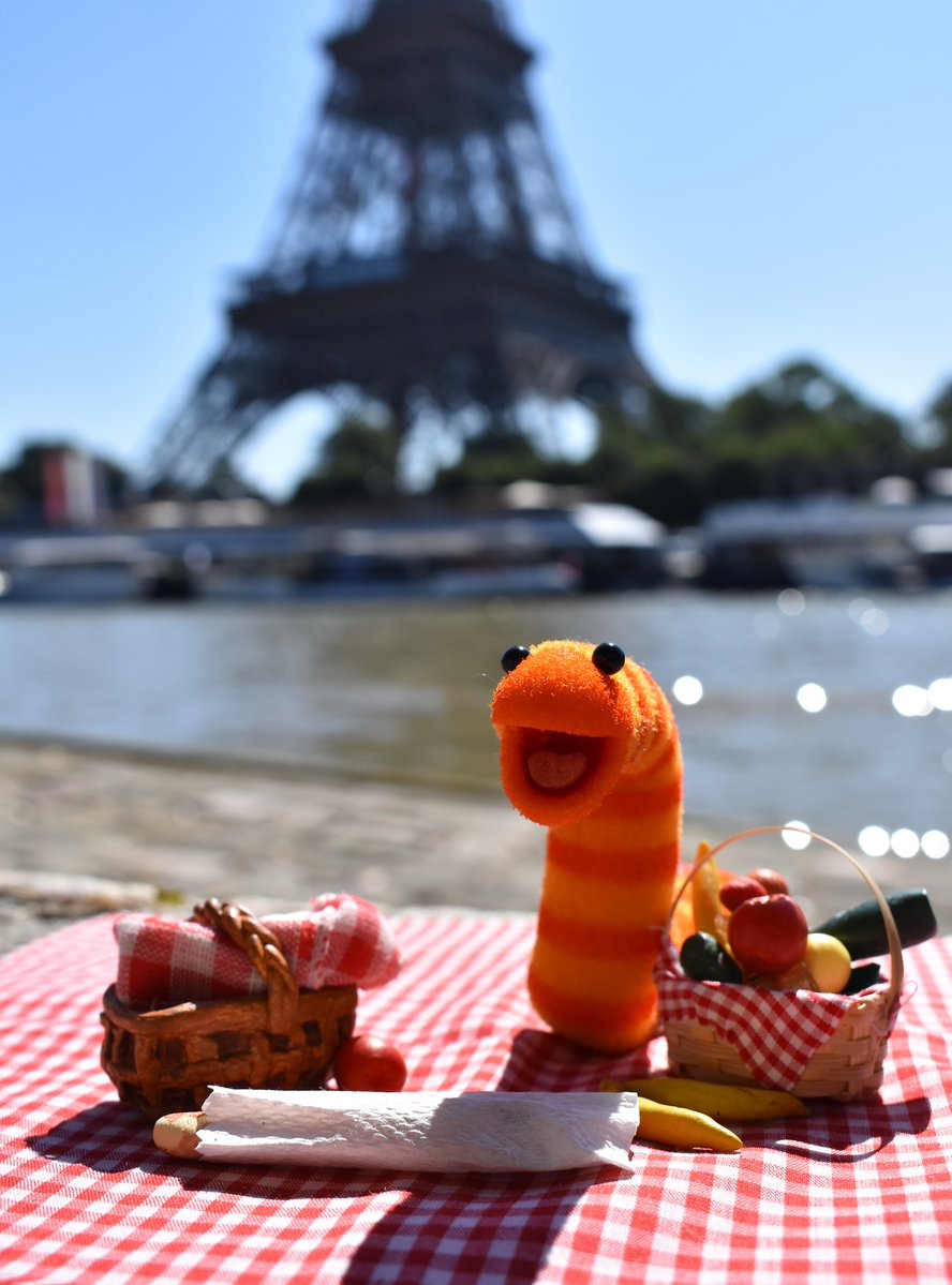 No matter how busy you are, there's always time for self-care! Slimey found some time for one last picnic in Paris. #ParisOlympics #EmotionalWellbeing #SlimeyInParis