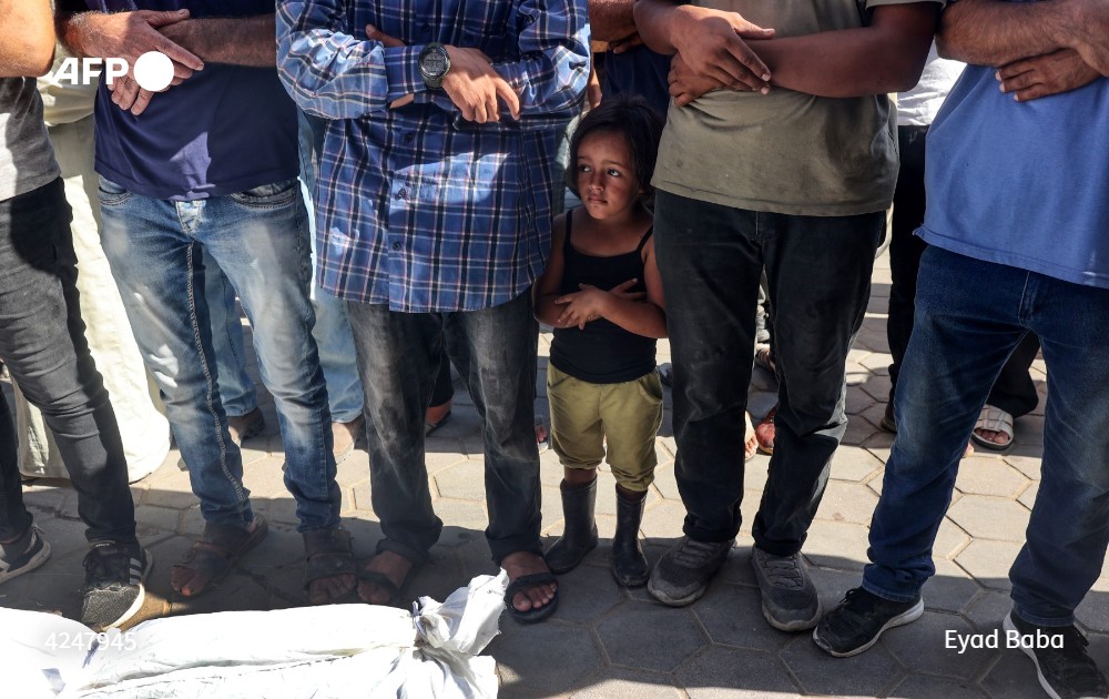 According to an <a href="/AFP/">AFP News Agency</a> tally, at least 14 schools sheltering Gaza's displaced have been hit since July 6, killing more than 280 people. t.ly/bEeq5