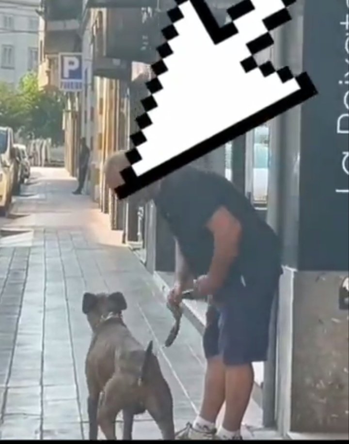 😡😡Habéis devuelto el perro al IRRESPONSABLE del "dueño? Veis el collar de CASTIGO,  de pinchos? Lo ha vuelto a encerrar? No tenéis suficientes INDICIOS de #MaltratoAnimal? 
<a href="/paerialleida/">Ajuntament de Lleida</a> <a href="/caaclleida/">El Refugi dels Peluts</a> <a href="/gUrbanaLleida/">Guàrdia Urbana de Lleida</a> #Lleida Si le pasa algo a este perro seréis #Cómplices 😡😡😡