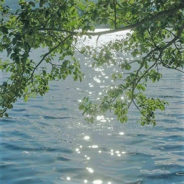 artindetails tweet picture