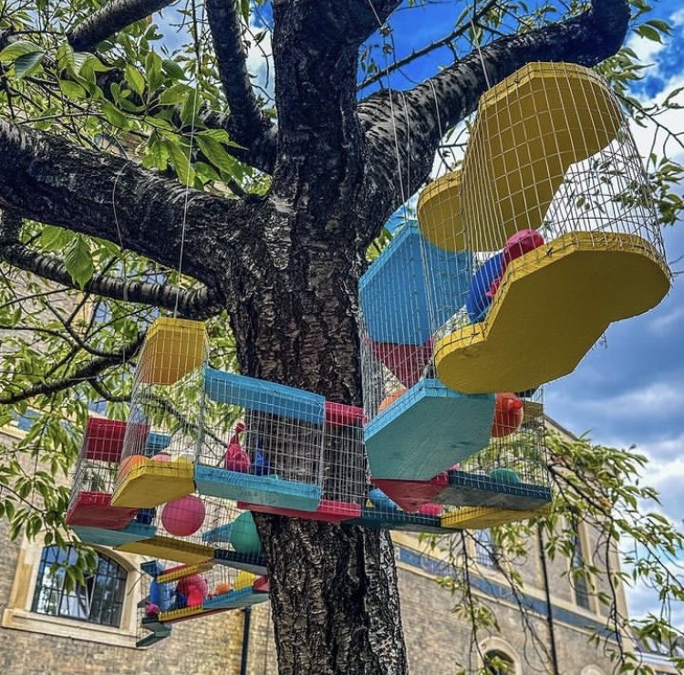 The London Group (@thelondongroup1) on Twitter photo Free artists’ talks tomorrow, from midday, for our fab #sculpture exhibition in the churchyard
@stjohnswaterloo
Speakers: #PaulTecklenberg⬇️ <a href="/PereraSumi/">Sumi Perera</a> #MartinDarbyshire #CadiFroehlich #BarbaraBeyer
#PaulBonomini Free artists’ talks tomorrow, from midday, for our fab #sculpture exhibition in the churchyard
@stjohnswaterloo
Speakers: #PaulTecklenberg⬇️ <a href="/PereraSumi/">Sumi Perera</a> #MartinDarbyshire #CadiFroehlich #BarbaraBeyer
#PaulBonomini