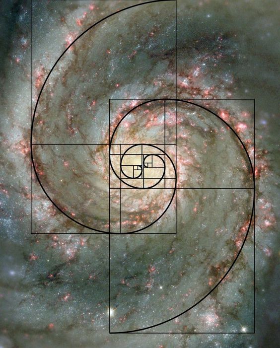 TheoGottwald's tweet photo. Im Universum, so weit und klar,  
Fibonacci zeigt uns, wie wunderbar! 🌌✨  
Galaxien tanzen, in Farben so fein,  
Mathematik und Sterne, vereint im Schein.  

#Fibonacci #Galaxie #Astronomie #Mathematik #Kosmos #Natur #Schönheit   #SuperAGI #GPT45 https://t.co/FkDmElli7Y