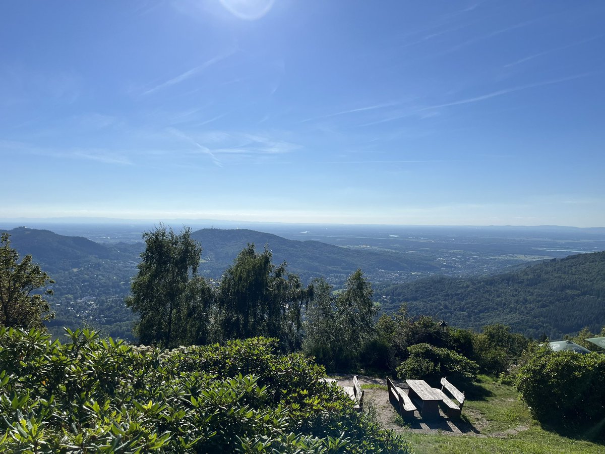 Nerdfeldt tweet media