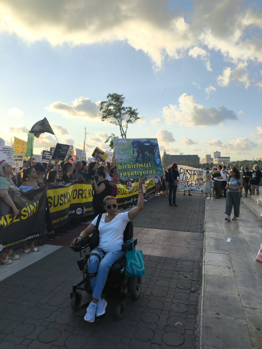 Köpekler mahallelerimizin sakinleridir. Hiçbir hayvanı yalnız bırakmayacağız. Katliama karşı bir aradayız, Kadıköy’deyiz!

#nigdedekatliamvar 
#ALTINDAĞDAKATLİAMVAR 
#YasaDegilKatliam