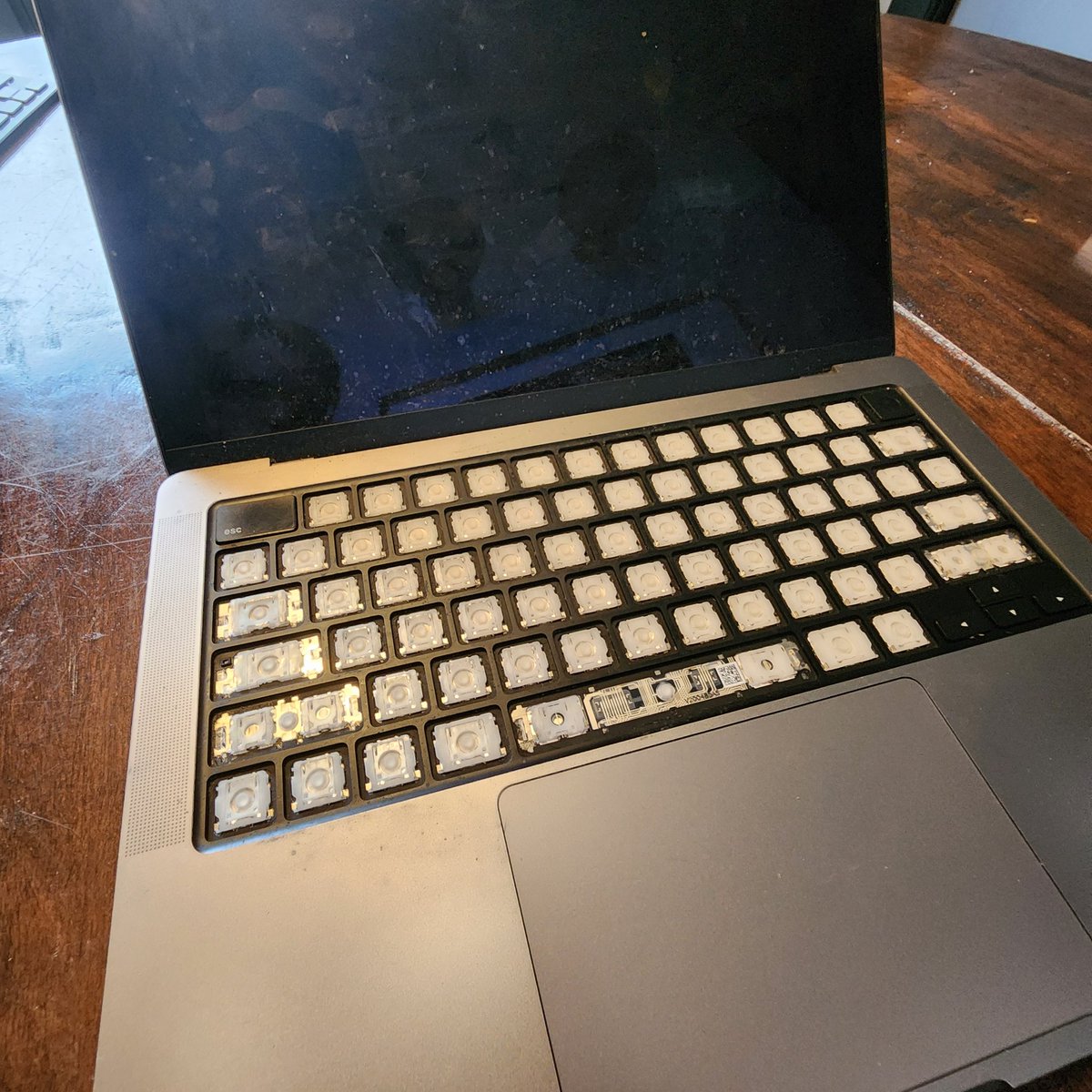 Andrew Brown tweet media