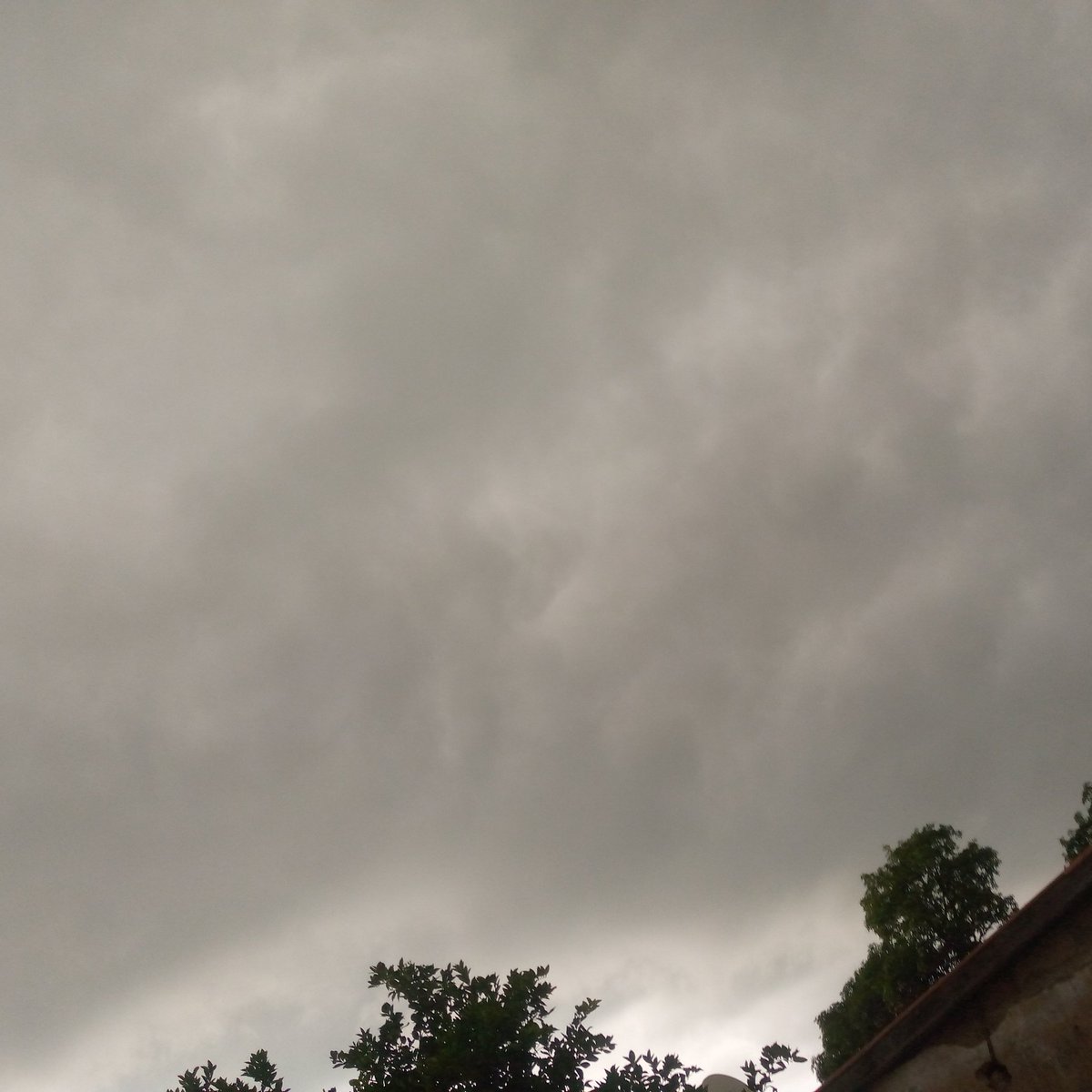 AlieuJamme25447's tweet image. Rain is planning