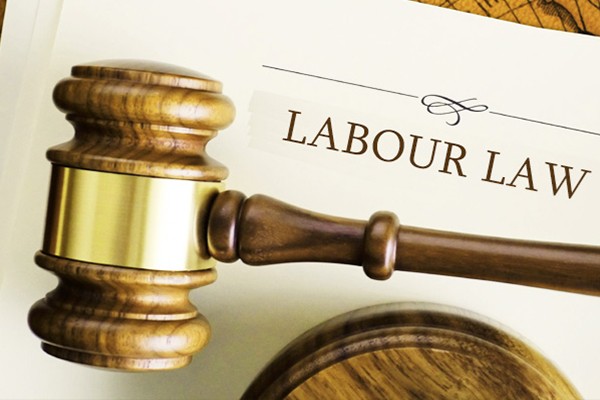 thelawreporters's tweet photo. Understanding the UAE Labour Law: An In-Depth Look at Flexible Work Patterns
Exploring temporary, part-time, full-time, flexible, job sharing and work arrangements

Read more 👇
https://t.co/L3mmUzgiTy

#tlr #news #dubai #uae #labourlaw #workpatterns #abudhabi #thelawreporters https://t.co/LDXkCp04iy