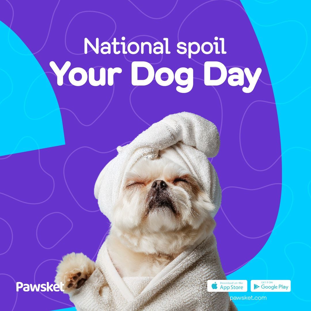 pawsket's tweet photo. Spoil your dog🐶every moment of everyday😍 they deserve the love and being spoiling them is how to do that🤩😍

دلع كلبك كل يوم علشان هو يستاهل 😍🤩 https://t.co/JxYdYqGE4z