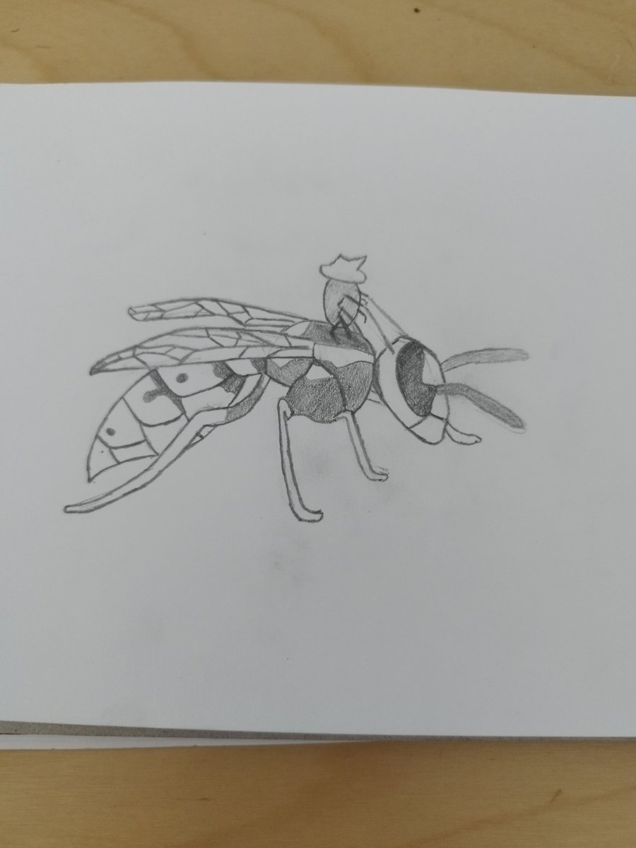 noci27's tweet photo. Imagine a species of spider which uses its nets not only to capture, but also to control its prey. This came to me in a dream and I just had to draw it. Imagine the whole wasp being covered in nets, I couldn't draw that part :b https://t.co/ZA35gWfgND