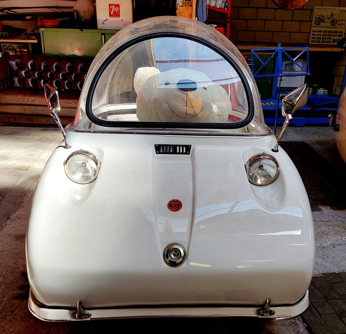 Sandra Wyss tweet media