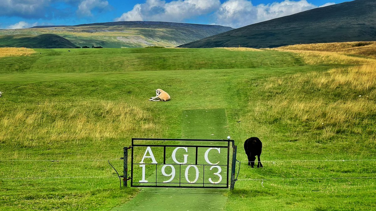 joemcd_golf tweet media