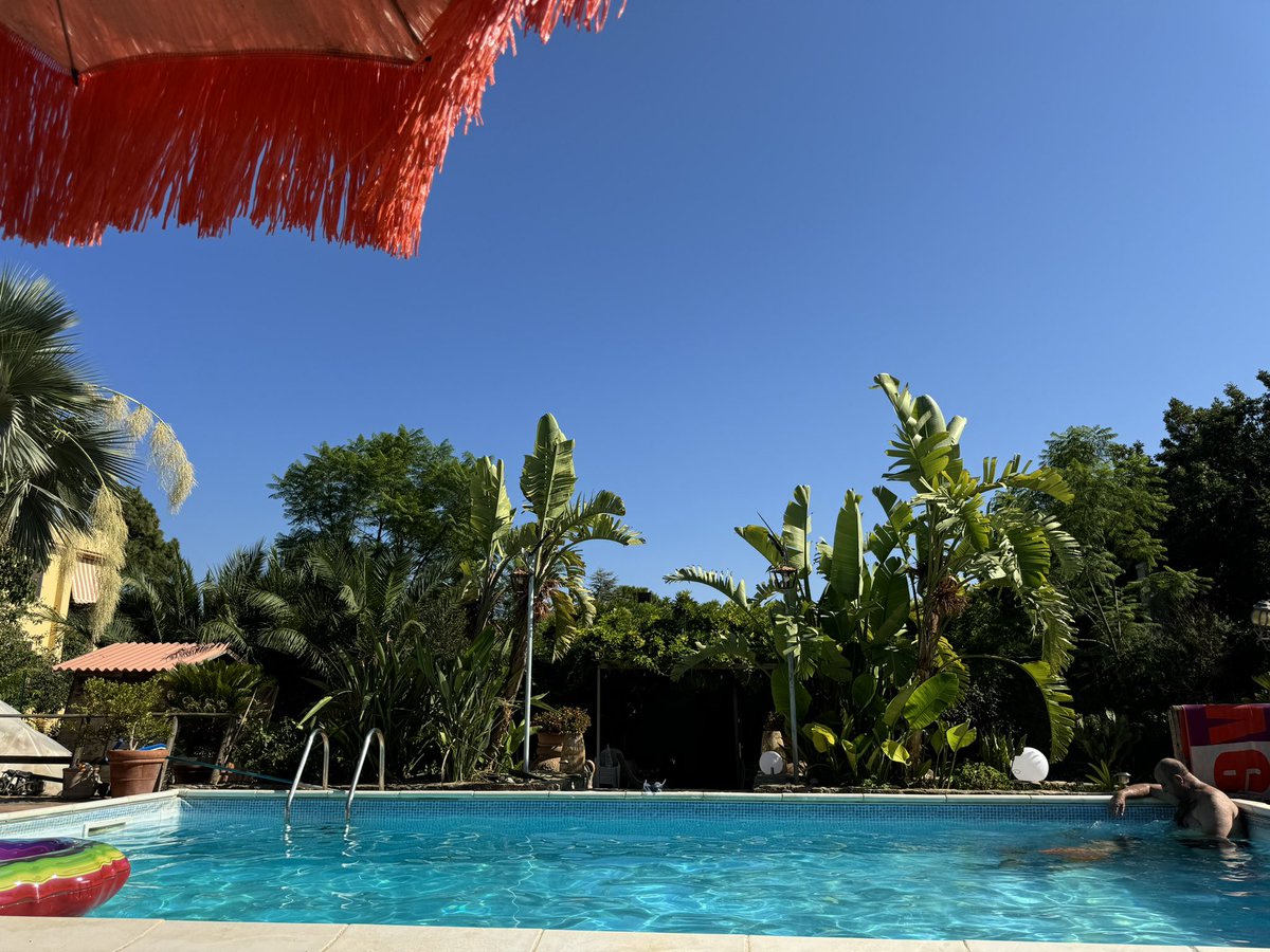 grifeo's tweet photo. E quando c’è da evitare le folle da fine settimana… ecco piscina! Esco dalla stanza, salgo tre gradini e mi butto in acqua. Il sole di Sicilia fa il resto.
#Relax a #Partanna, Contrada Montagna https://t.co/Sw6tD0B5MP