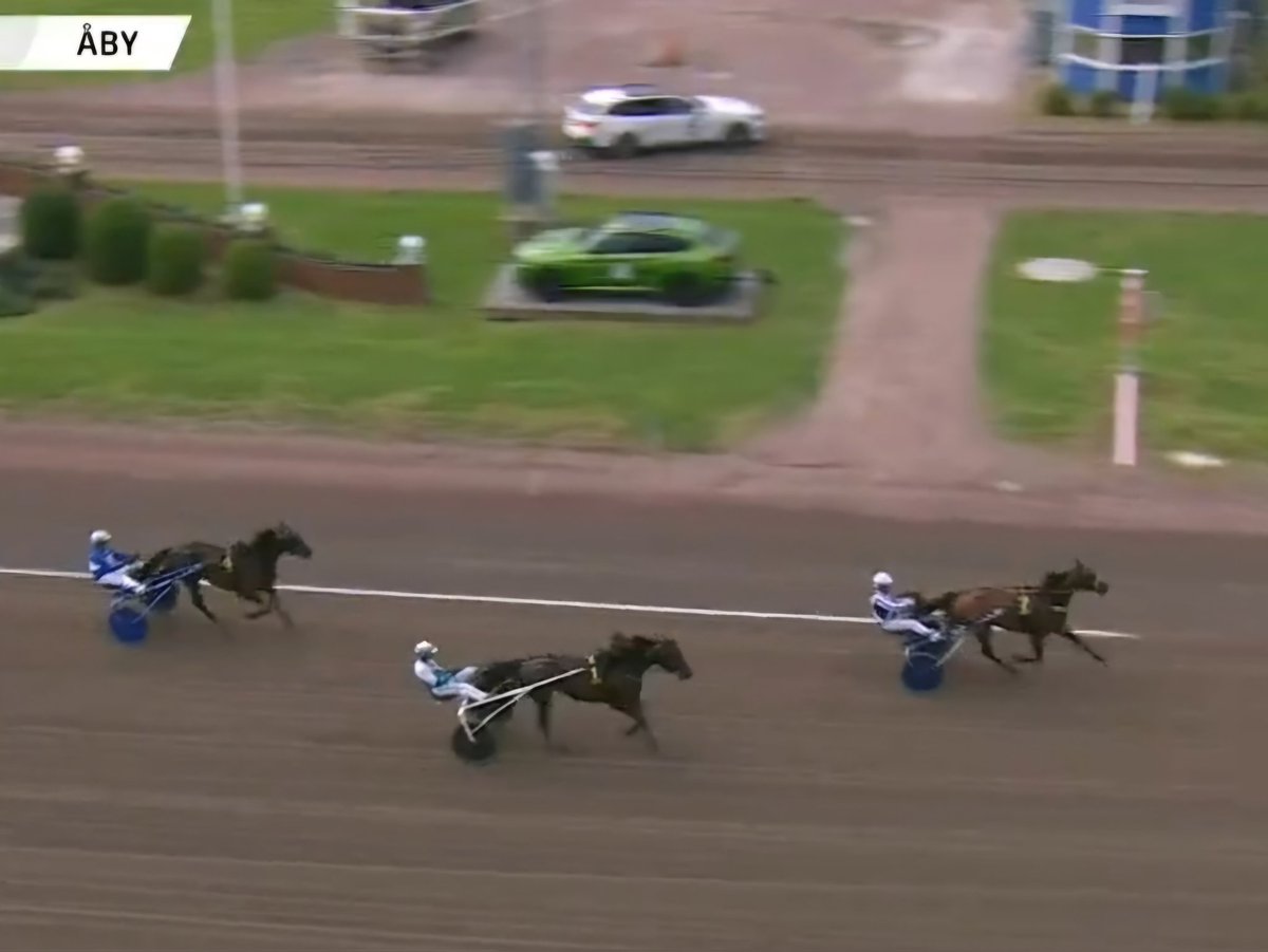 TornyMogren's tweet photo. On ylivoimainen hevonen tämä Horsy Dream tällä hetkellä #ravit High on Pepper (Melkko & Kontio) hyvä kolmas 💪#WorldGP #Åby https://t.co/8oJU6CZKp4
