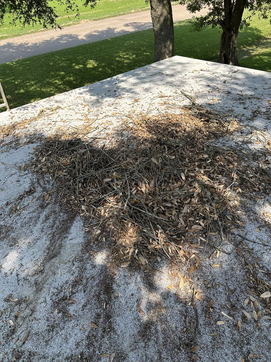 When your garage and car port are both under the old oak tree