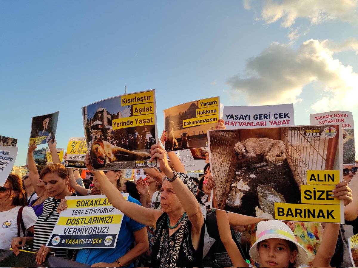 Katliama, faşizme karşı bir aradayız. Altındağ'da, Niğde'de katledilen canlarımızın hesabını soracağız. 

📍İstanbul/Kadıköy 

#KatliamYasasınıTanımıyoruz 
#YaşamİçinYasa #AltındağdaKatliamVar