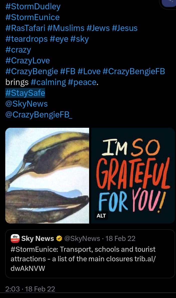 CrazyBengieFB_'s tweet image. #forInstance:
'u.s.' intelligence as distinct from "United Of America #people's defense, intelligence AND security", HAS "known since at least 1994/#1989 of #ocean and #sea 
#organizedcrime #gangs, ('asian euRopean euRopean Union effrican, 'sarOud aRmmeliCan', and #MORE!"
😨🤣🤣