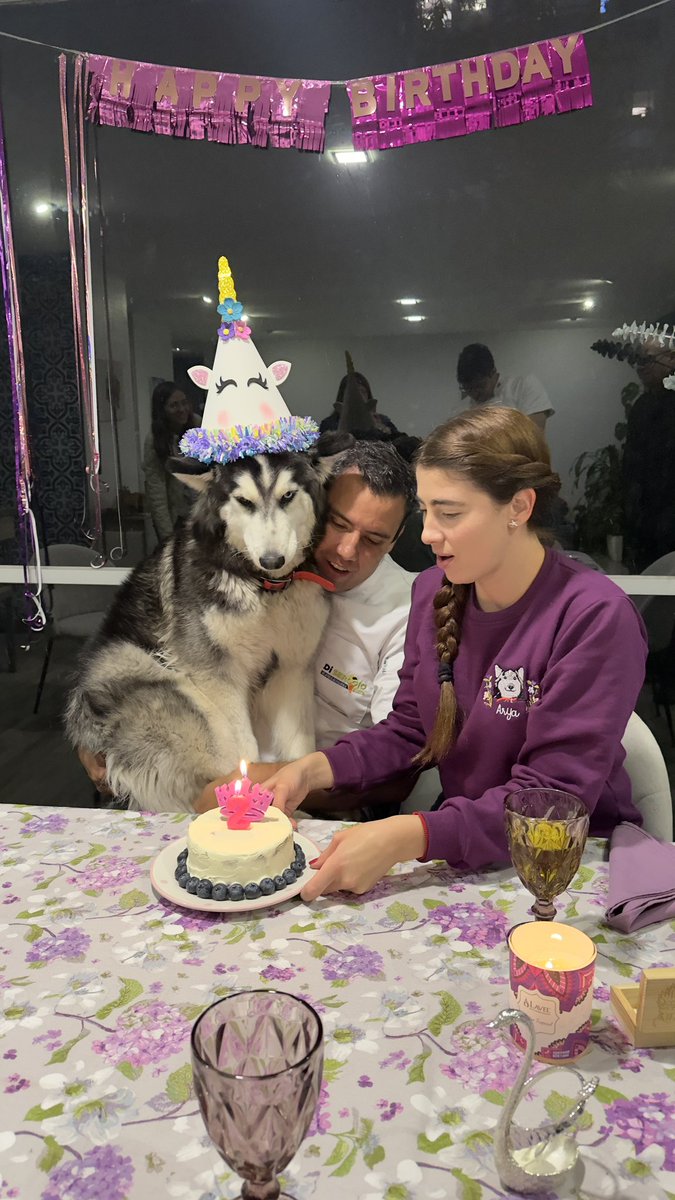 Hoy cumplió 2 años mi bebé 🐺❤️🥳