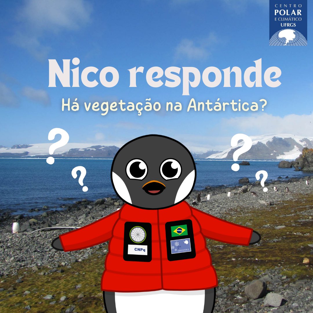centropolar's tweet photo. Você sabia que a Antártica, conhecida como o continente congelado, também abriga vida vegetal? 🌱❄️ 

Embora pareça inóspito, líquens, musgos e algumas algas conseguem sobreviver em meio ao gelo e ao frio extremo. Vamos entender? https://t.co/8qfEAwHhLd