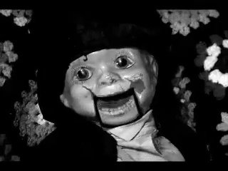 ISO Subject 5 tweet media