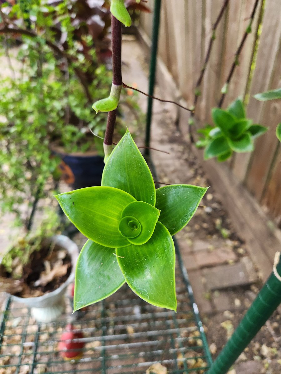 Jakeplus2's tweet image. 