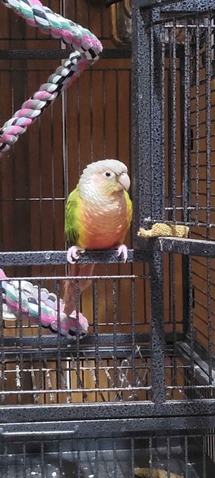 SHE SO PRETTY https://t.co/6cyp11BJPt<a href="/tag/ass"class="tags"><span>#ass</span></a>