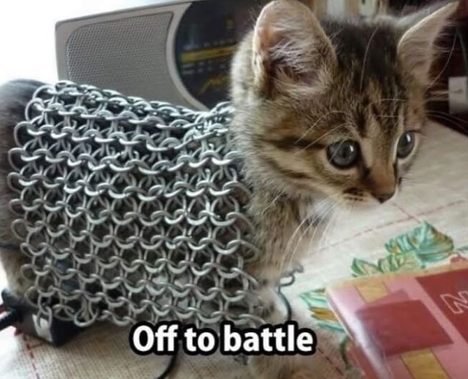 Catsillyness's tweet photo. Warrior https://t.co/L6JFPTshZ7