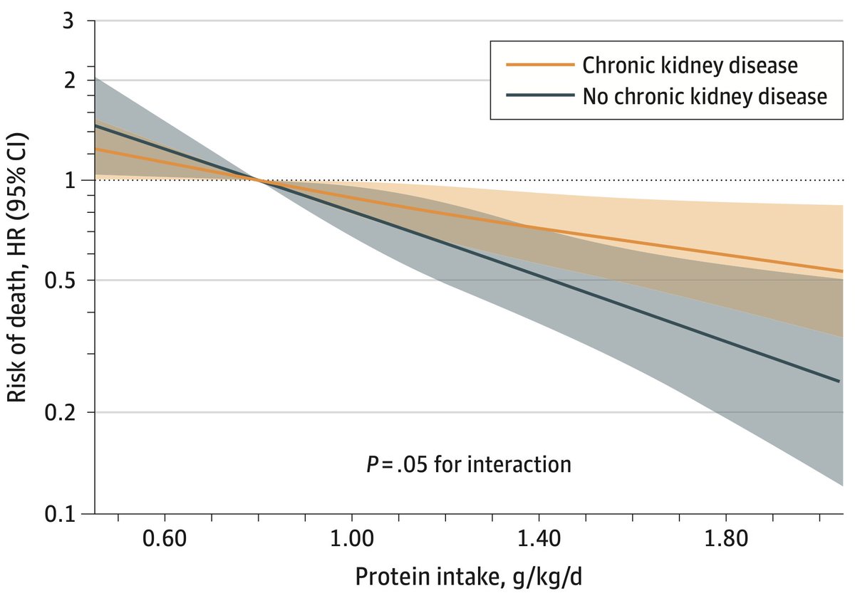 weimbslab's tweet image. Contrary to expectations: Higher protein intake is linked to lower mortality in adults with chronic kidney disease according to a large new study.
Finally, we have a study. It's time to abandon the low-protein approach.
Link to study: jamanetwork.com/journals/jaman…