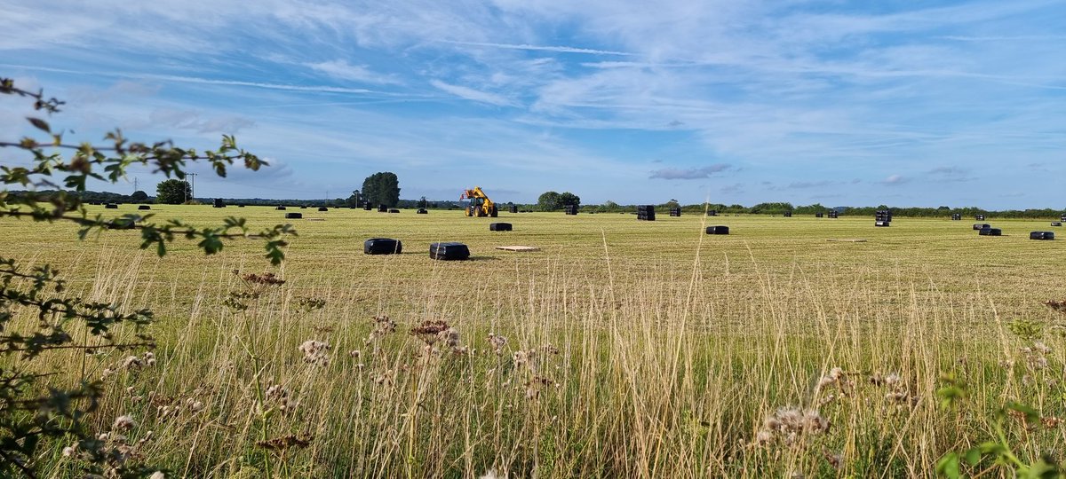 Haylage going well.