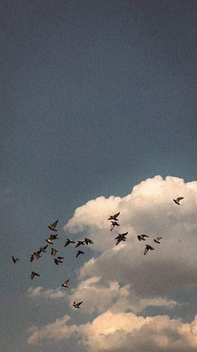 Kuşlar uçar senin gönlünü taklit için
Ellerinden devşirir bahar çiçeklerini
Deniz gözlerinden alır sonsuzluğun haberini
Ey gönüllerin en yumuşağı en derini
Sevgili
En sevgili
Ey sevgili
Uzatma dünya sürgünümü benim.

Sezai Karakoç