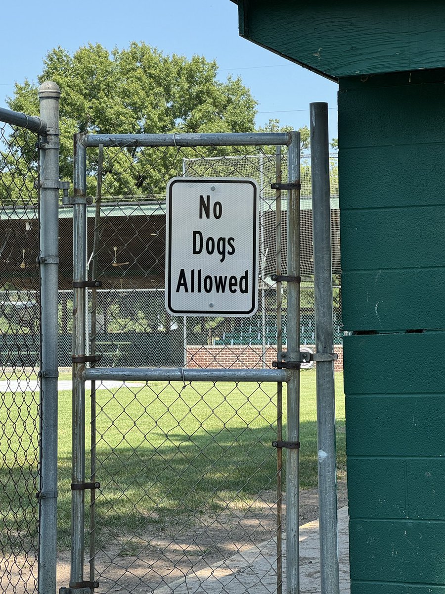 Bad news, due to the no dogs allowed on the field rule at borsch park the Rockies aren’t going to be allowed on the field today! #jk see you all at 5! #dogpark #rockhard