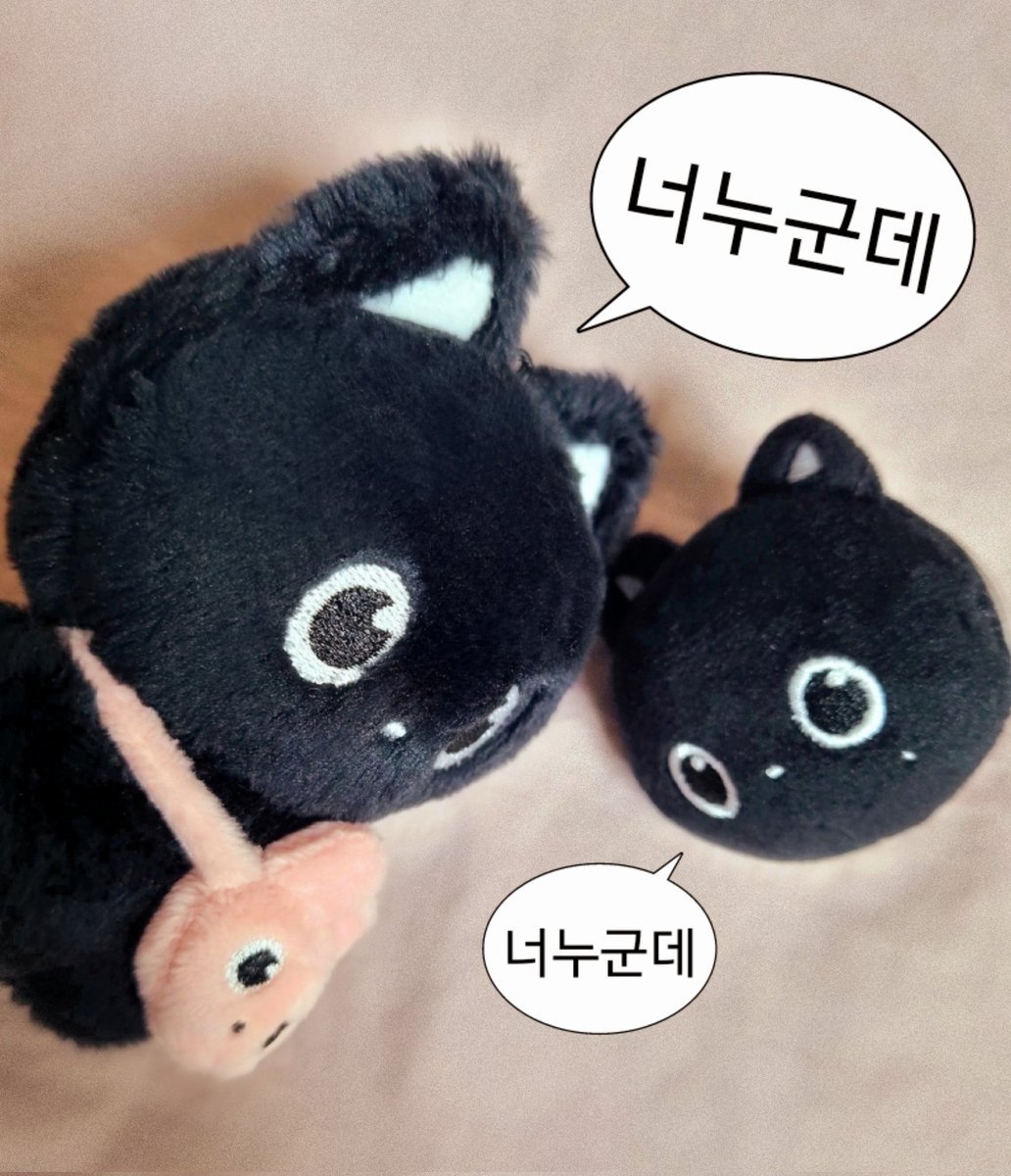 #냥삐또삐왔다아ㅏㅏ 당첨후기🩵

냥삐 그립톡 동글동글 부드럽고 너무 작아서 귀여워요🥹🫳🏻🫳🏻 
후기 이벤트 당첨 되는 행운이 나에게도 오다니 오늘부터 품격있게 살겠습니다