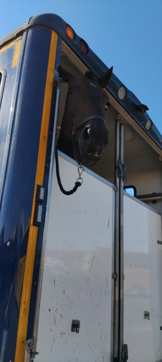 OnePotter's tweet photo. @LancsPolMounted said hello on our way back to the coach after the airshow in blackpool today https://t.co/WXbPA5yke2