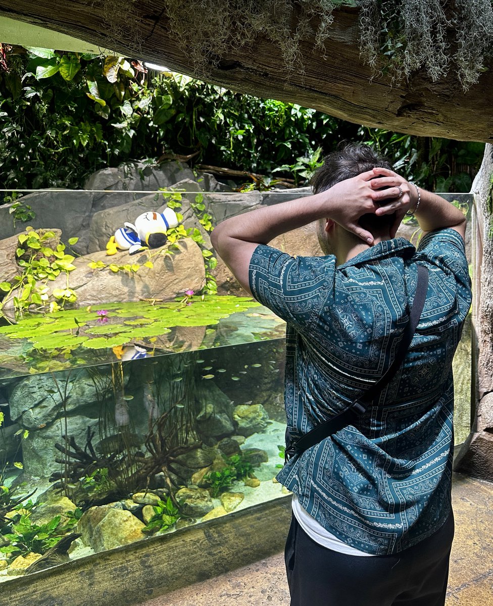 JohnstoneYT's tweet photo. Devastating day at the aquarium https://t.co/r9hg1UKtbS