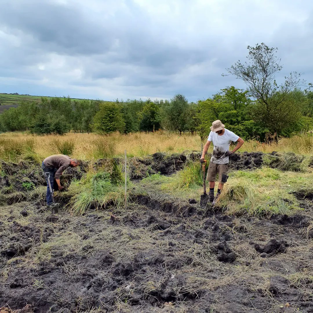 forus_tree's tweet photo. #Attenuationpond digging continued this week. All the turf was removed and placed on the outer edge of the bund. Lovely layer of clay less than a spade depth, which is being dug out to depth and used to line the inside of the bund edge. Pebble loves pond digging days💚 #dogatwork https://t.co/TzYXMxpf4N