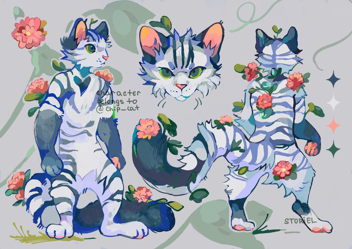 Chip Cat @Seattle tweet media