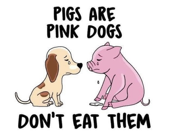 veganfuture's tweet photo. https://t.co/yNnZ1OWCuj