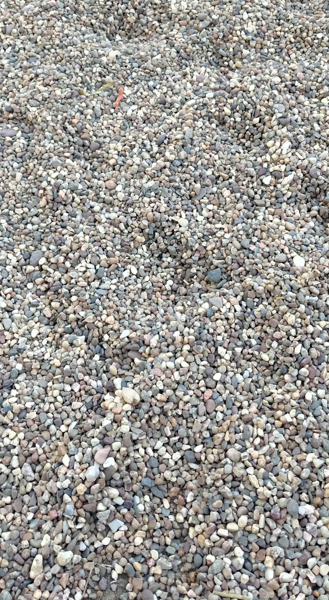 DaniElefantman's tweet photo. Fondo de guijarros, piedras minúsculas. Cuando se hacen caminatas se encuentran uno con todos estos suelos  #sulo #caminatas #senderismo https://t.co/jRHEO8AgZz