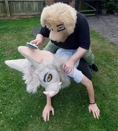 Fucking brush ya down @Cobalt_Salem
