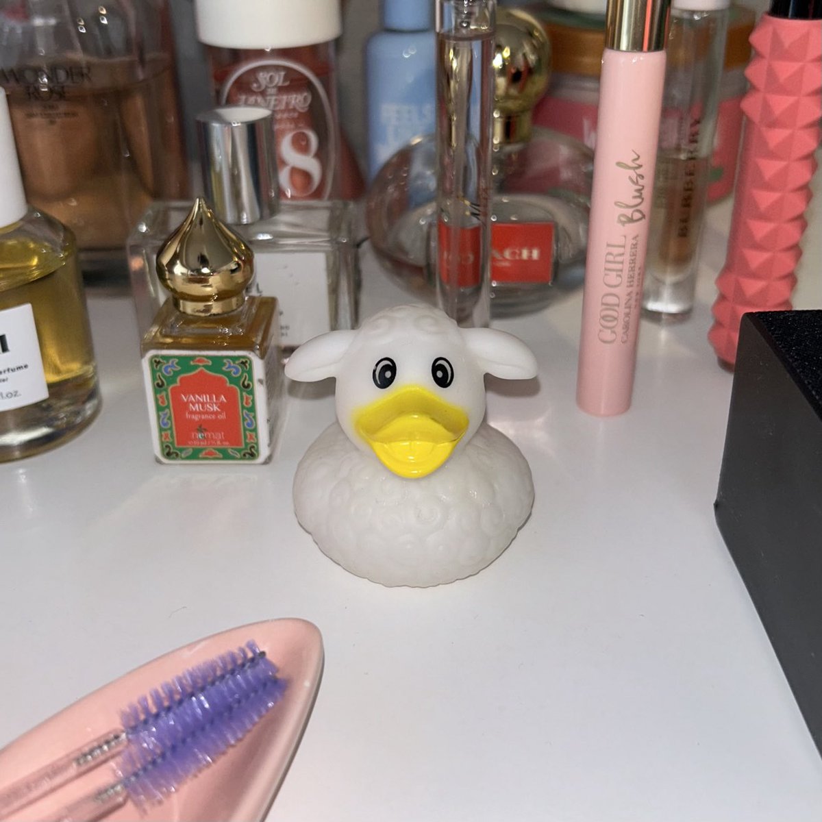 HotGirlArianaa's tweet image. My apartment got #ducked !!! lol this is soooooo silly /.\ \^•^/