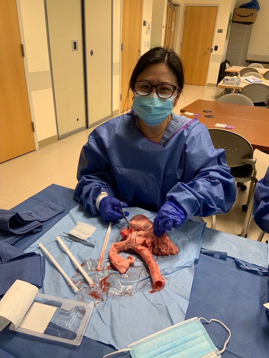 UHCVFellows's tweet photo. Cardiology Fellow Boot Camp - Pig heart dissection at John A. Burn School of Medicine campus with John Cogan, MD, FACC, Interventional Cardiologist. @uhmanoa @uhmedjabsom https://t.co/bnpbtAKUUH