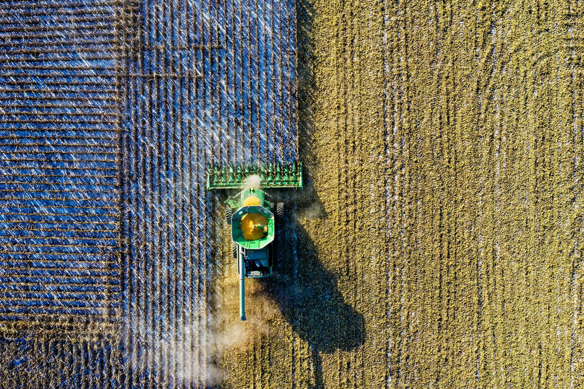 empresariosdaca's tweet photo. NEGOCIO AGRÍCOLA: «Se requiere más productividad por hectárea para que la ecuación sea rentable»

🗣️ El Cr. Darío Andrioli Director de @carle_andrioli analizó los números del sector agrícola en la actualidad.

🔗 VER ENTREVISTA AQUÍ ⬇️
https://t.co/HvuLgN3vUI https://t.co/fgbOOrMMBA