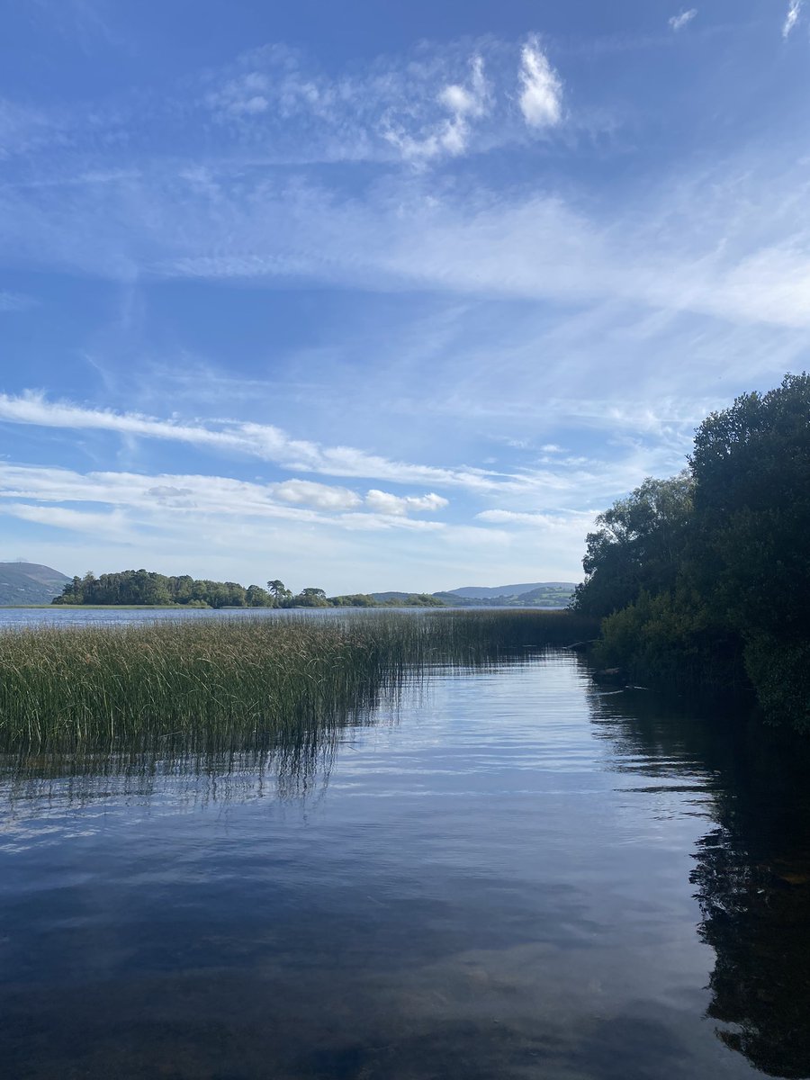 Beautiful Mountshannon 🤩 

Lough Derg is so unspoilt - a gorgeous, restful place. 

#lakesideholidaypark #irelandinthesun