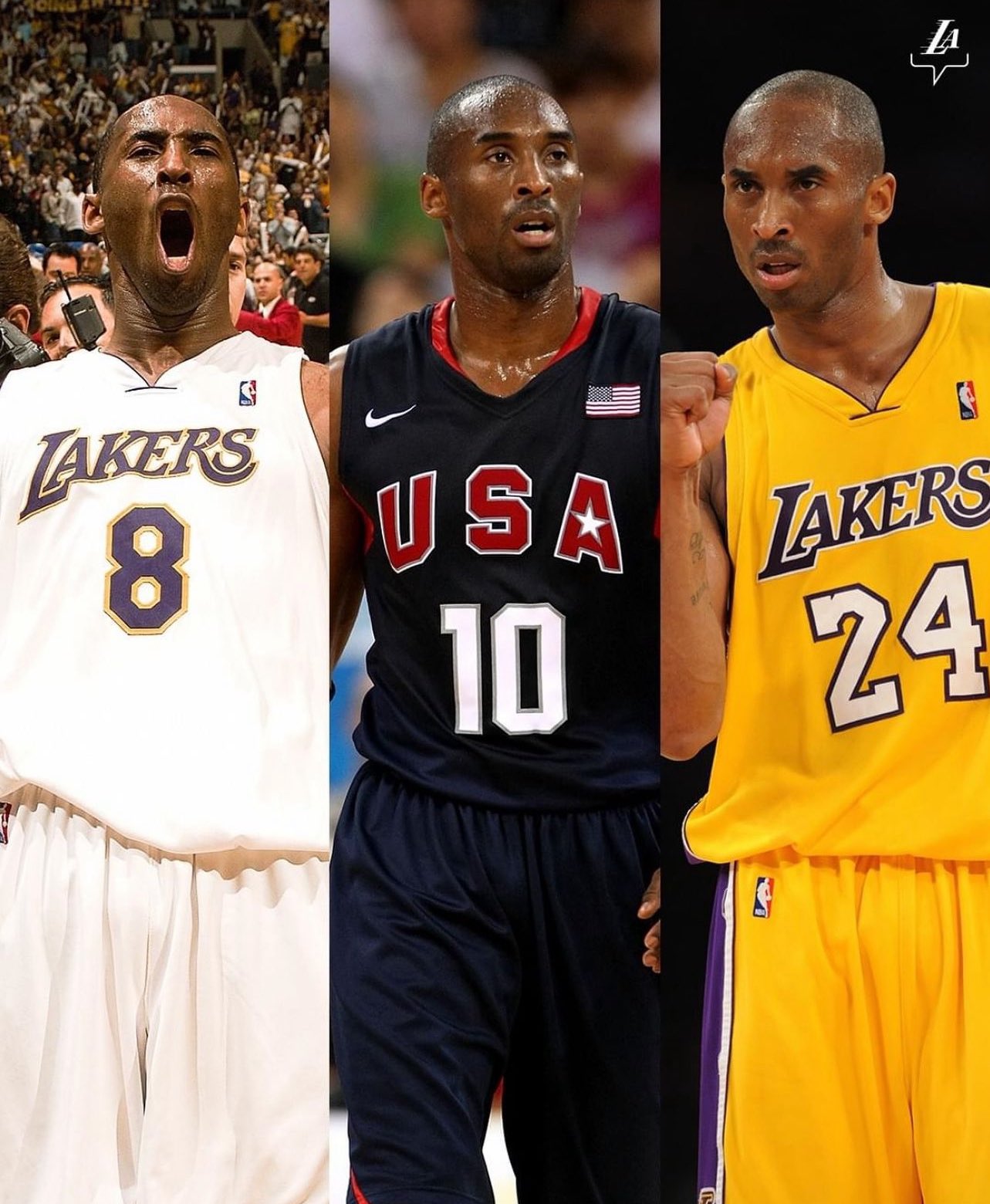 Kobe 8 24 jersey best sale