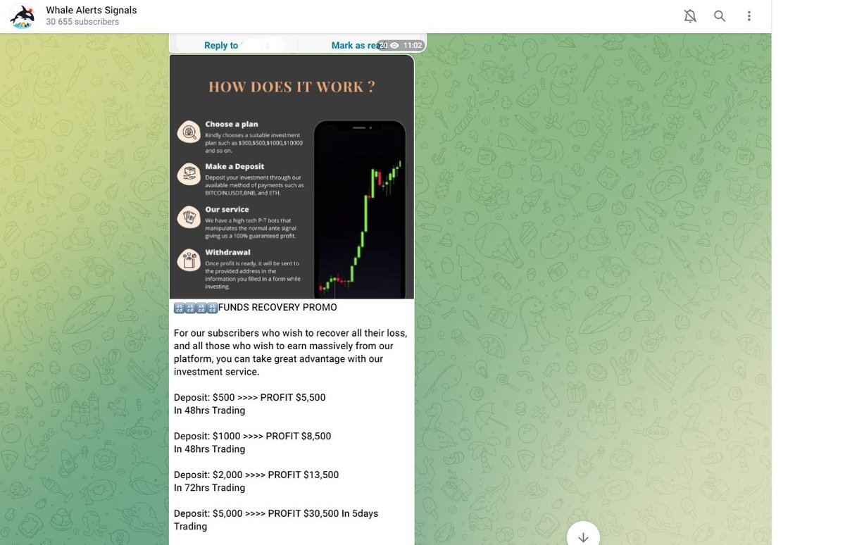 TheRisingTalent's tweet photo. @whale_alert Is this service offered by official Whale Alert team or Is it some scammer trying to use Whale Alert name on telegram to scam people? Can someone confirm please. https://t.co/u3YuaPGZhj