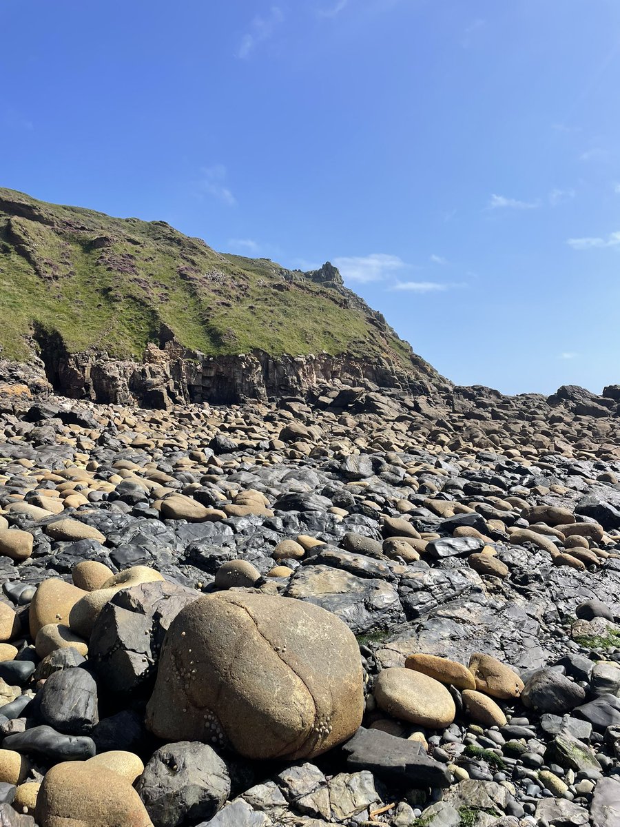 Clare Roddis tweet media