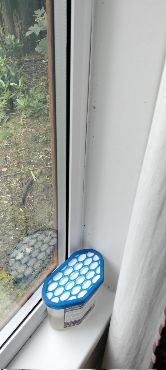 k_dodsworth's tweet photo. @sykescottages Absolutely unacceptable condition of our holiday let. I contacted you first thing this morning regarding damp and mould at the property and even though you said we would be rehoused we are probably spending a 2nd night here. #mysykesstay #lakedistrict #windermere https://t.co/mK7x3UflCc