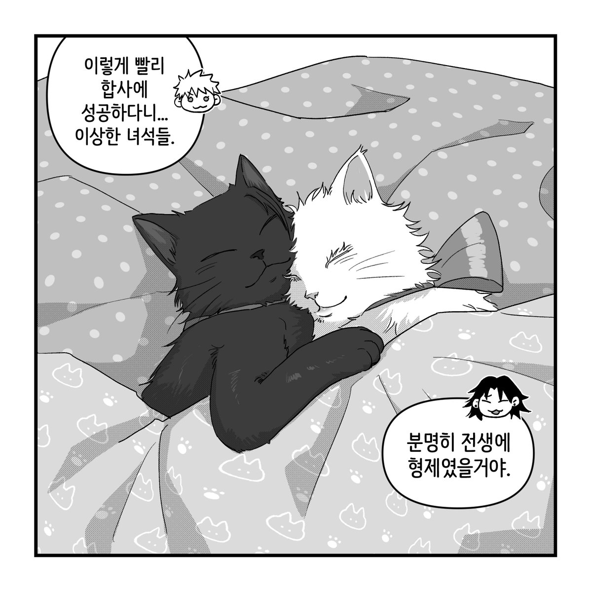 야생오렌지🍊 tweet media